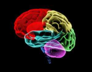 Neurotrack : diagnostic de la maladie d’Alzheimer par les yeux