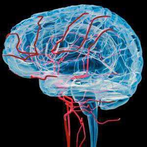 La palpation du cerveau bientôt possible pour le diagnostic médical ?